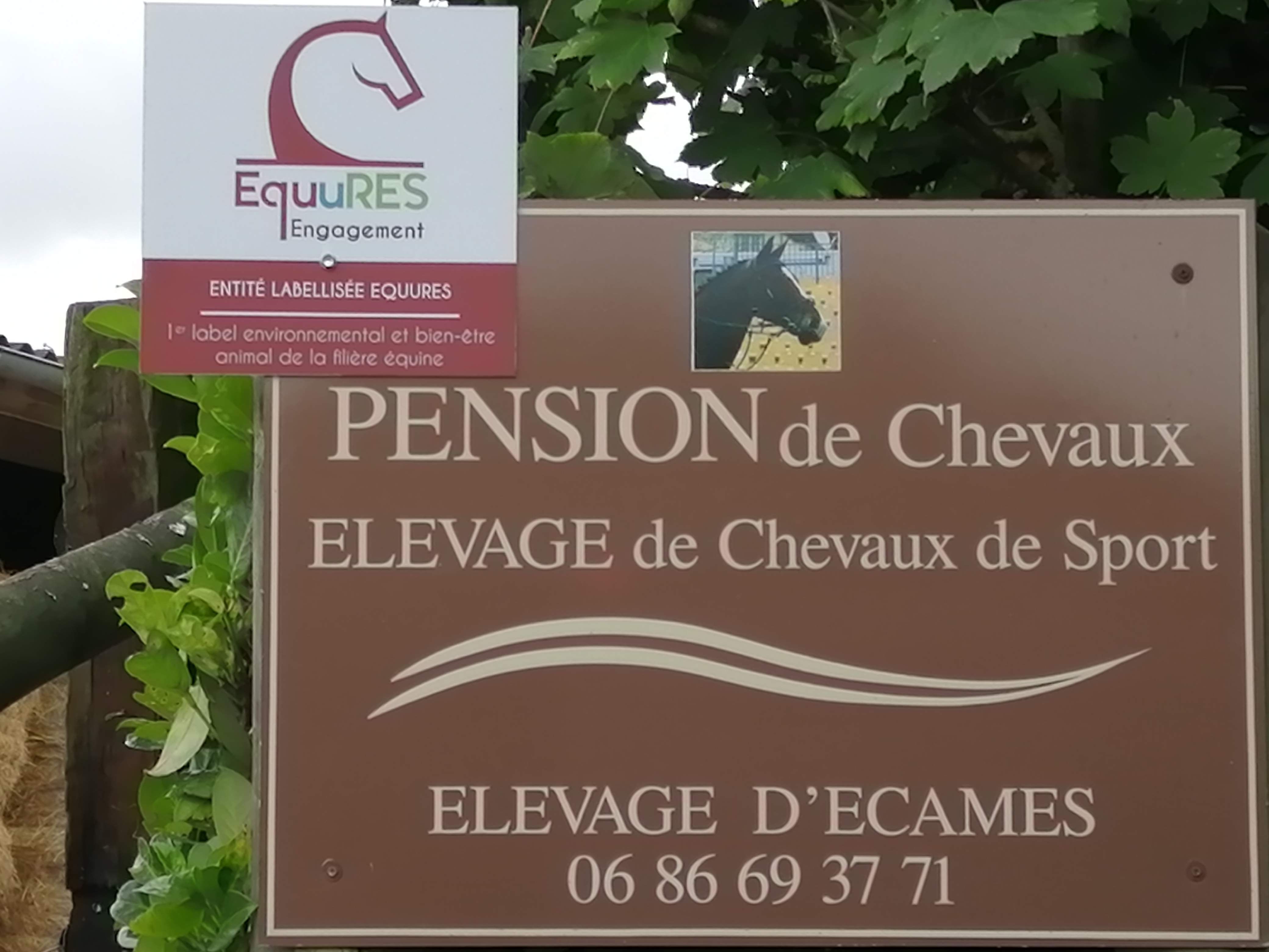 ELEVAGE d'ECAMES logo